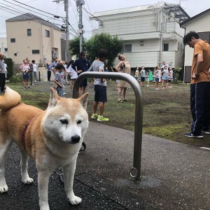 ラジオ体操4日目